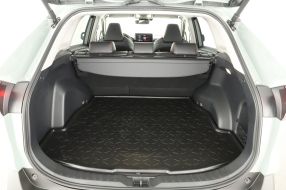 Toyota RAV 4 - 2024