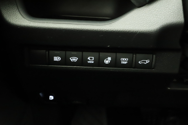 Toyota RAV 4 - 2024