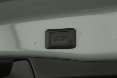 Toyota RAV 4 - 2024