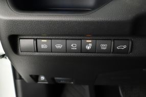 Toyota RAV 4 - 2024