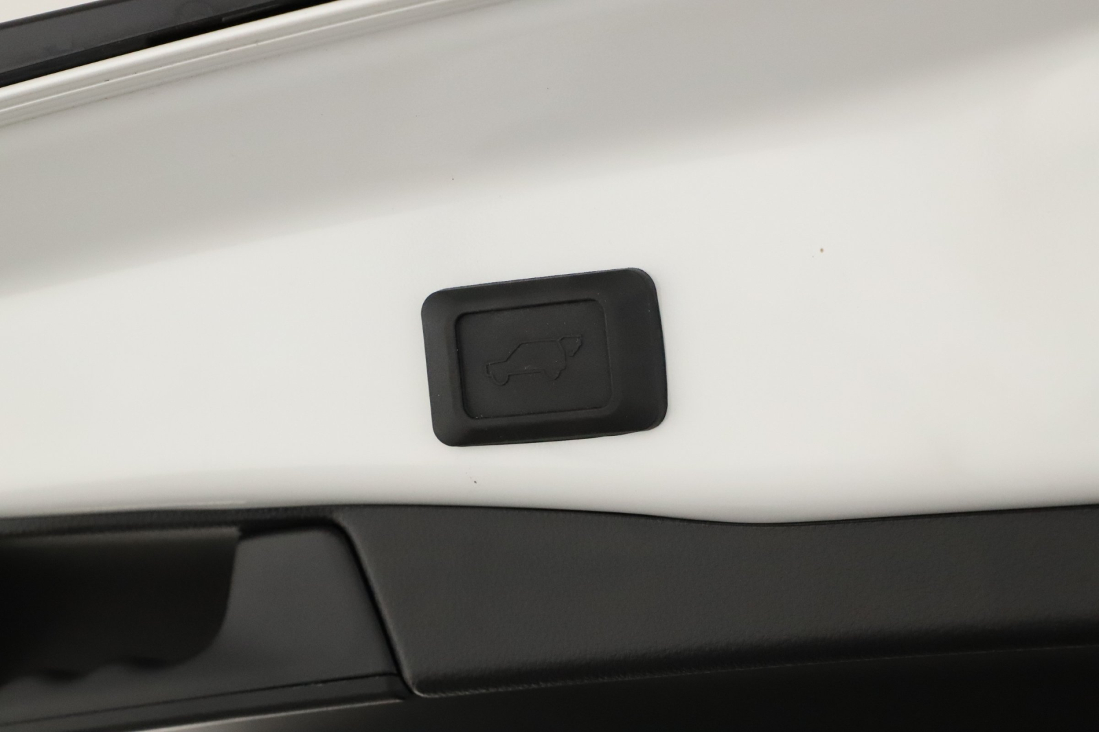 Toyota RAV 4 - 2024