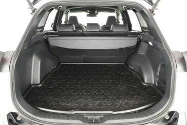 Toyota RAV 4 - 2024