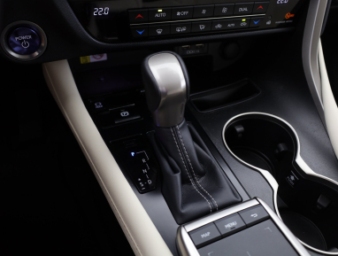 Lexus RX - 2021