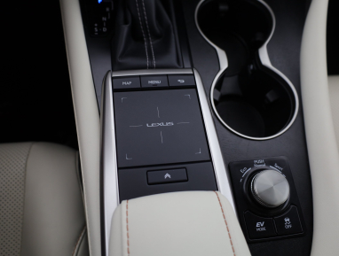 Lexus RX - 2021