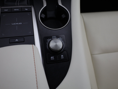 Lexus RX - 2021