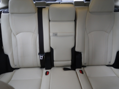 Lexus RX - 2022