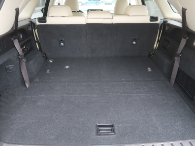 Lexus RX - 2022