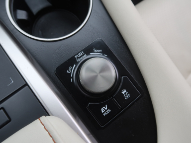 Lexus RX - 2022