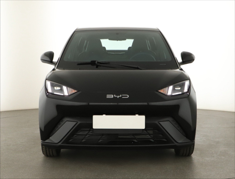 BYD Seagull, 2025