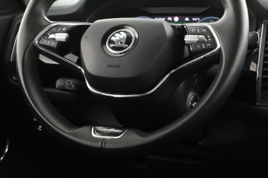 Škoda Kodiaq - 2022