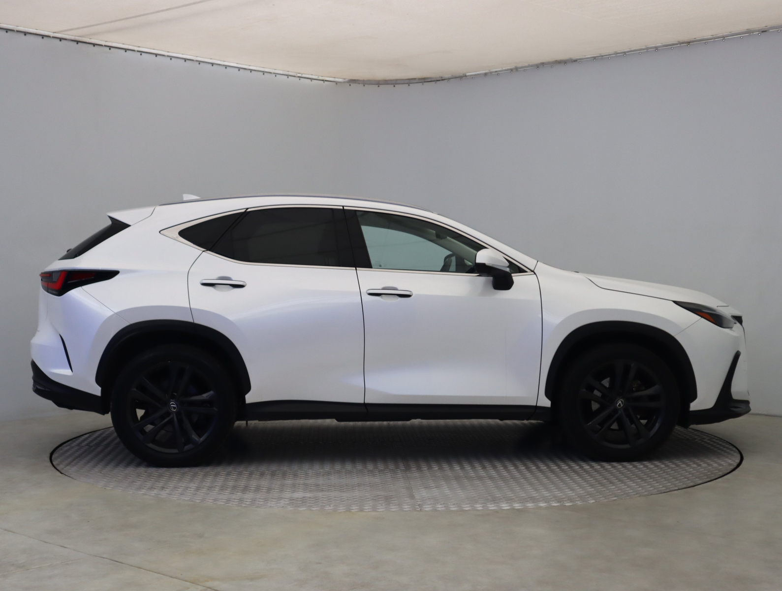 Lexus NX - 2023