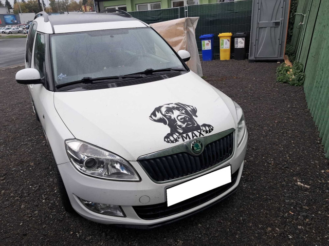 Škoda Roomster 2012