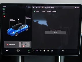 Tesla Model 3 - 2020