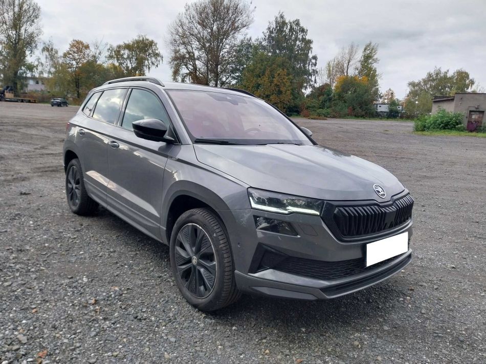 Skoda Karoq - 2024