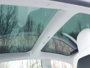 Tesla Model 3 - 2021