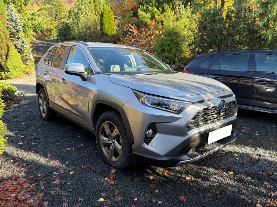 Toyota RAV 4 - 2019