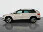 Škoda Kodiaq, 2019