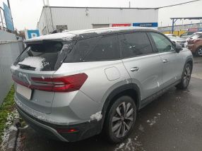 Skoda Kodiaq - 2024