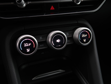 Škoda Kodiaq - 2024