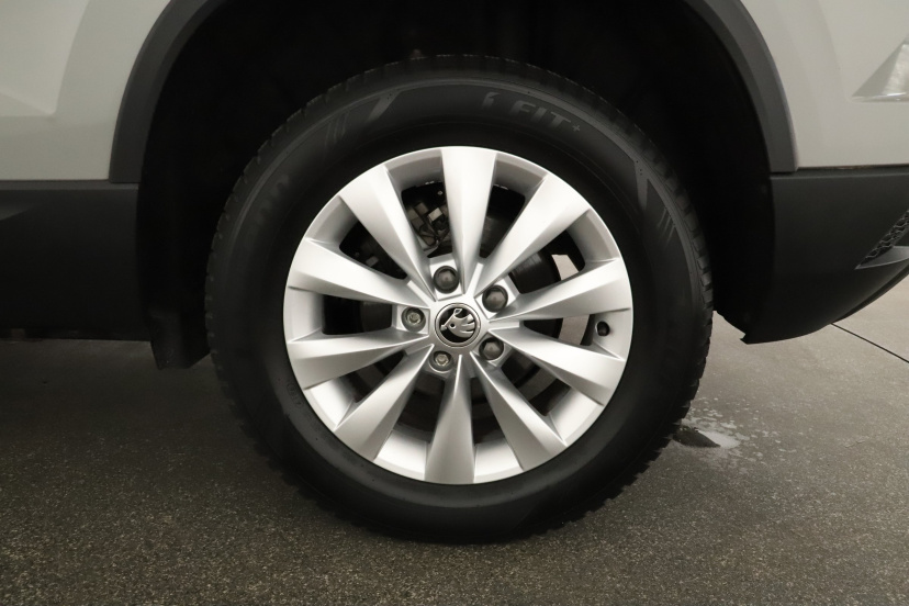 Škoda Karoq, 2024