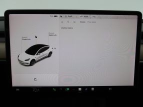 Tesla Model 3 - 2021