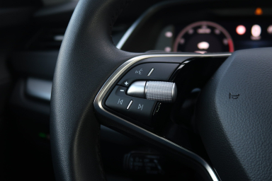 Škoda Octavia - 2024