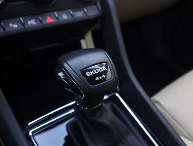 Škoda Kodiaq - 2022