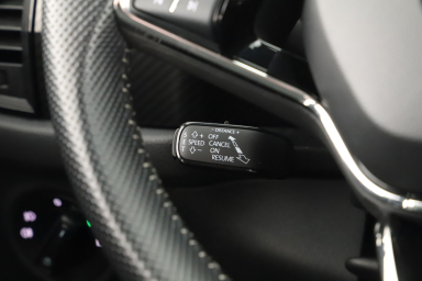 Škoda Kodiaq - 2022