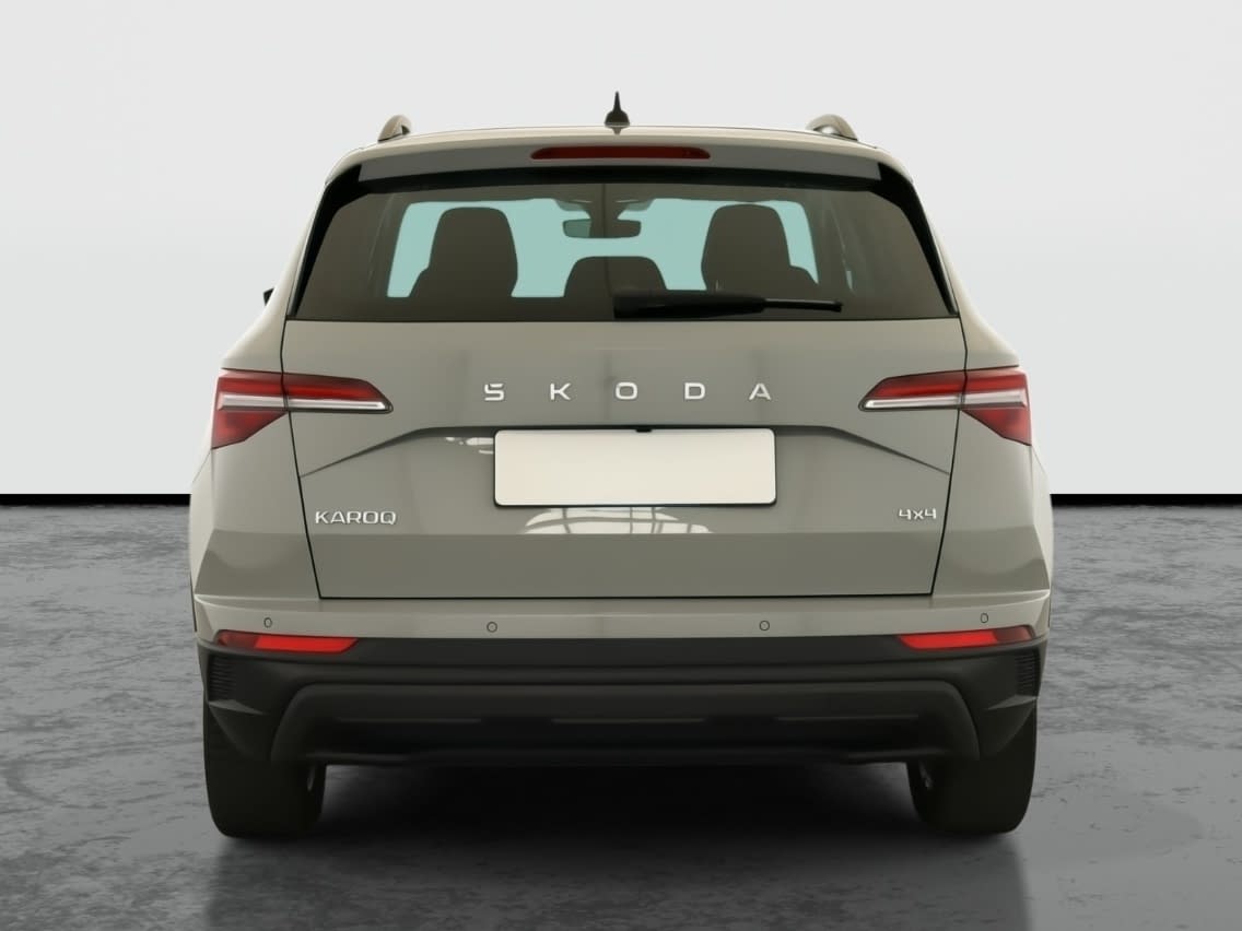 Škoda Karoq - 2024