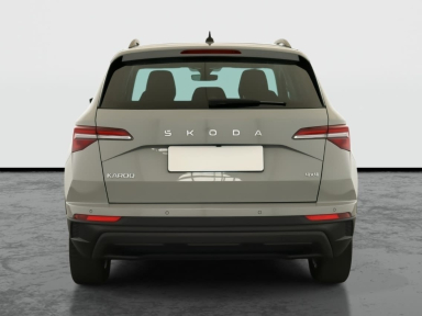 Škoda Karoq - 2024