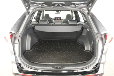 Toyota RAV 4 - 2025