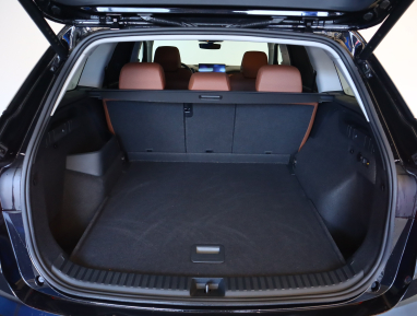 Škoda Kodiaq - 2024