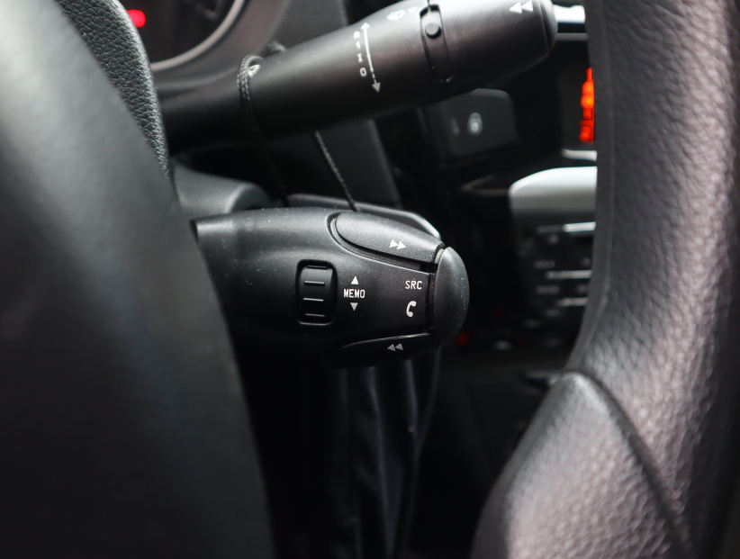 Peugeot 301, 2013