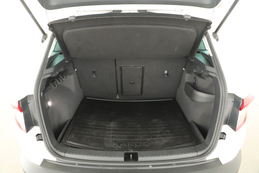Škoda Karoq, 2019