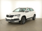 Škoda Karoq, 2019