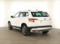 Škoda Karoq, 2019