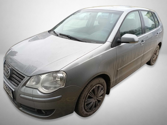 Volkswagen Polo 2009