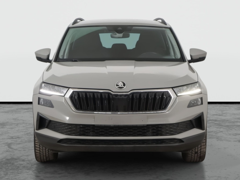 Škoda Karoq, 2023