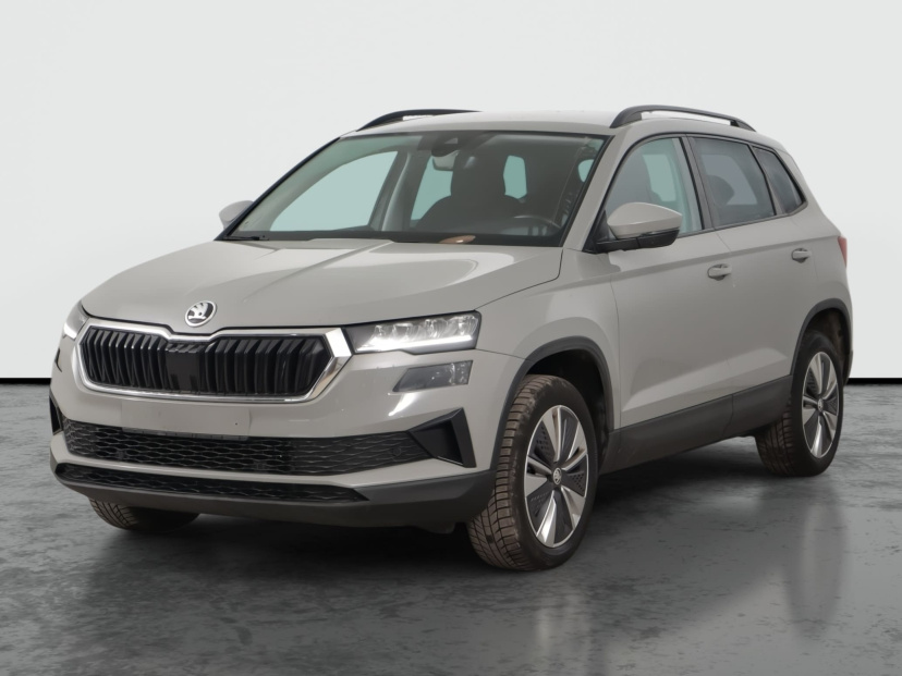 Škoda Karoq, 2023