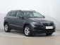 Škoda Karoq, 2020