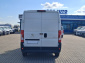 Peugeot Boxer, 2020