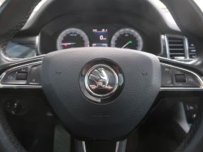 Škoda Kodiaq - 2017