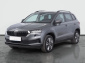 Škoda Karoq, 2023
