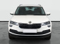 Škoda Karoq, 2019