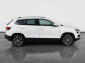 Škoda Karoq, 2019