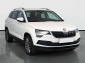 Škoda Karoq, 2019