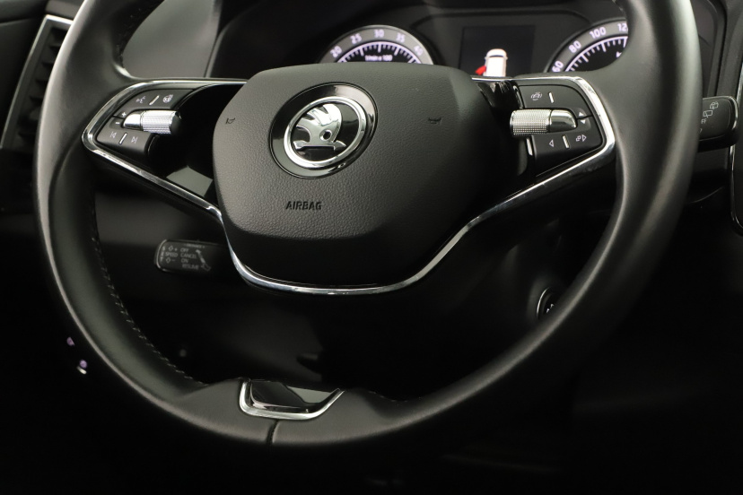 Škoda Karoq, 2021