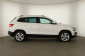 Škoda Karoq, 2021