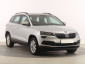 Škoda Karoq, 2017