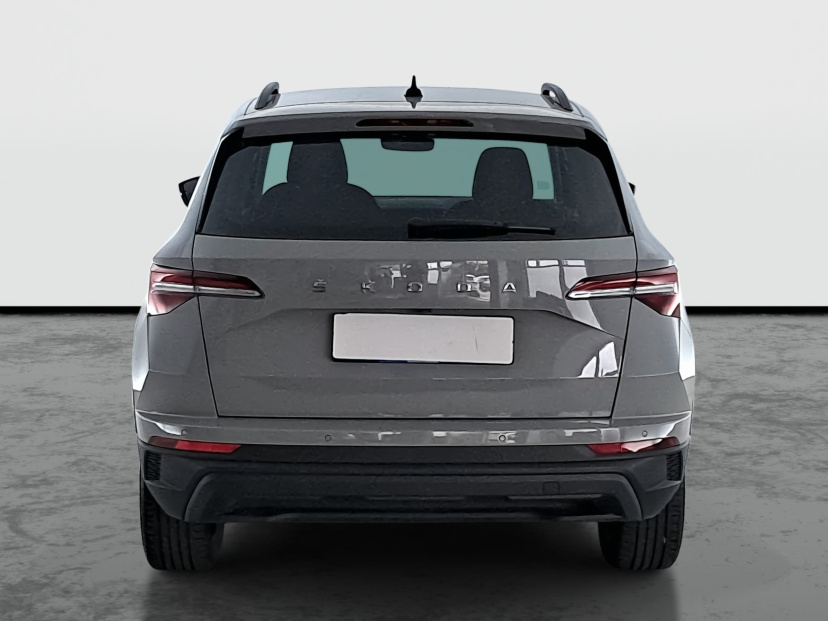 Škoda Karoq, 2022